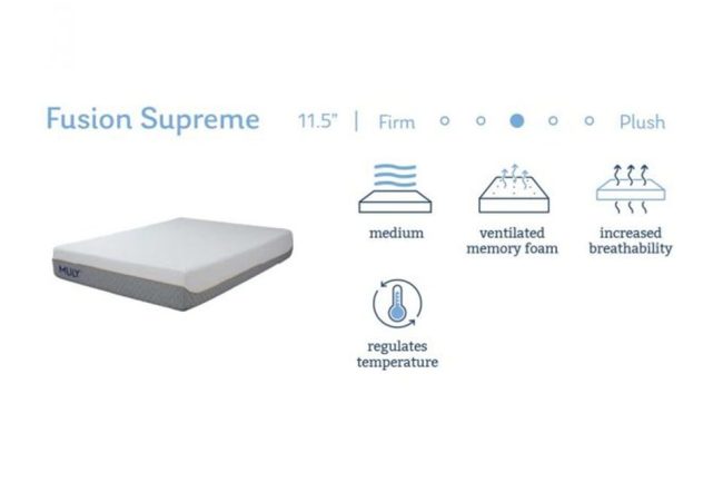 Mlily Fusion Supreme Hybrid